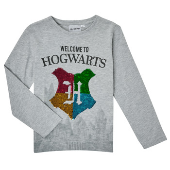material Boy Long sleeved shirts TEAM HEROES  T-SHIRT HARRY POTTER Grey