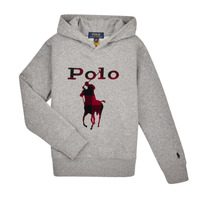 Clothing Boy sweaters Polo Ralph Lauren 323883104002 Grey