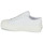 Shoes Women Low top trainers Superga 2630 STRIPE PLATFORM VEGAN White