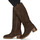 Shoes Women Boots Ulanka EMY Brown