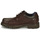 Shoes Men Derby shoes Fluchos 1320-YANKEE-BRANDY Brown