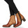 Shoes Women Ankle boots Casta TWIST Brown