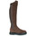 Shoes Women Boots JB Martin 1OLYMPE Crust / Brown / Canvas / Stretch / Brown