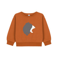 material Boy sweaters Petit Bateau CARTABLE Brown