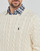 Clothing Men jumpers Polo Ralph Lauren LS DRIVER CN-LONG SLEEVE-SWEATER Ecru