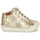 Shoes Girl High top trainers GBB BECKIE Gold