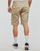 Clothing Men Shorts / Bermudas Dickies MILLERVILLE SHORT Beige