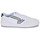 Shoes Men Low top trainers Vans LOWLAND CC White / Grey
