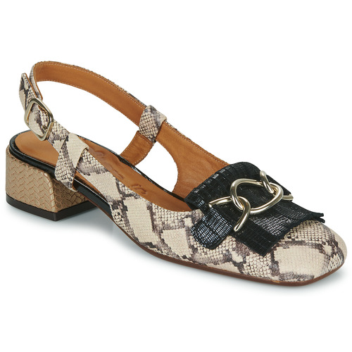 Shoes Women Court shoes Chie Mihara ILNA Python