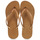 Shoes Women Flip flops Havaianas SLIM FLATFORM SPARKLE Gold