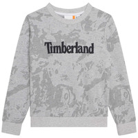 Clothing Boy sweaters Timberland T25U10-A32-C Grey