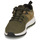 Shoes Men Low top trainers Timberland SPRINT TREKR LOW KNIT Kaki