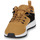 Shoes Men Low top trainers Timberland SPRINT TREKR LOW KNIT Brown / Black / White
