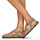 Shoes Women Sandals Metamorf'Ose NACCORE Beige / Brown / Black