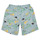 Clothing Boy Trunks / Swim shorts Petit Bateau FLOTTEUR Multicolour
