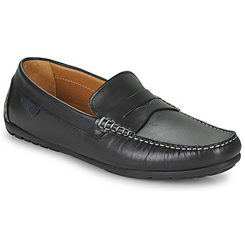 Shoes Men Loafers Pellet CADOR Veal / Pull / Cup / Black