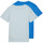 Clothing Boy short-sleeved t-shirts Calvin Klein Jeans PACK MONOGRAM TOP X2 Blue / Blue