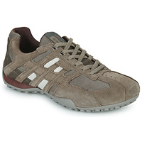 Shoes Men Low top trainers Geox UOMO SNAKE Brown