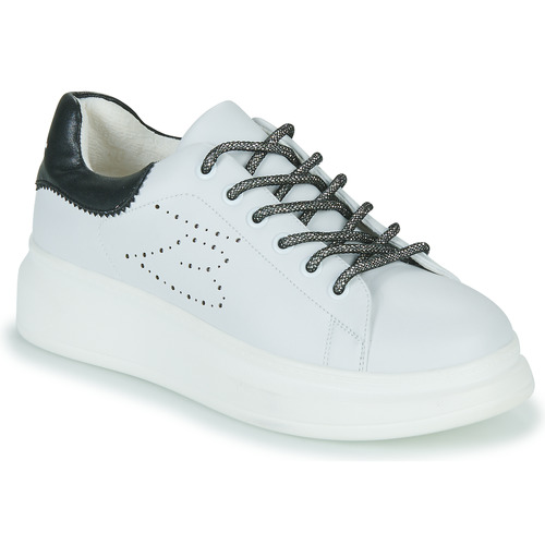 Shoes Women Low top trainers Tosca Blu ALOE White / Black