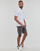 Clothing Men Shorts / Bermudas Levi's 501® ORIGINAL SHORT Grey