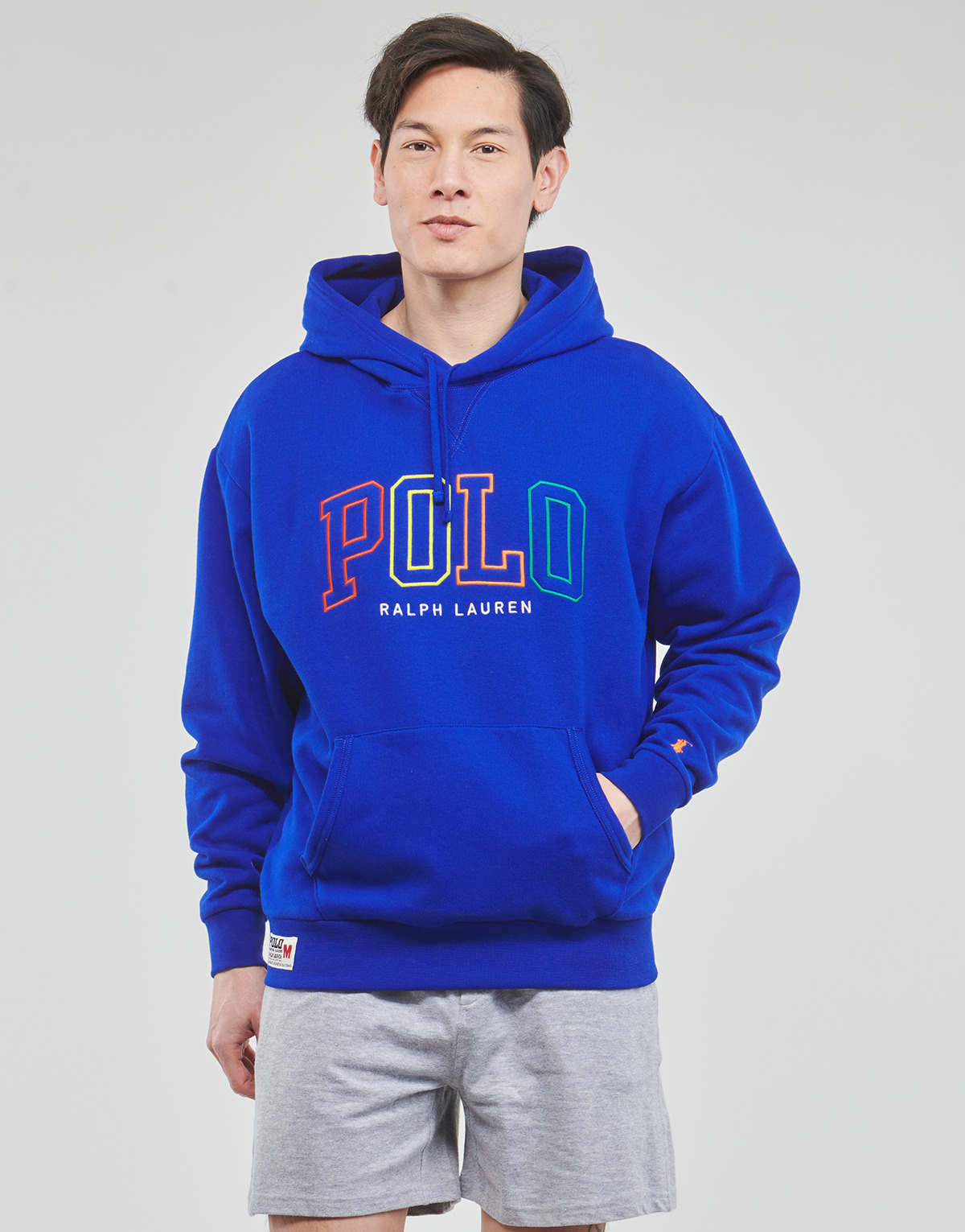 Clothing Men sweaters Polo Ralph Lauren 710899182003 Blue / Royal