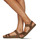 Shoes Sandals El Naturalista BALANCE Brown