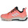 Shoes Women Hiking shoes adidas TERREX TERREX AX4 GTX W Pink