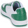 Shoes Men Low top trainers Ellesse PANARO CUPSOLE White / Green