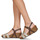 Shoes Women Sandals Plakton SO KIMBO Brown