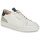 Shoes Men Low top trainers Pellet SIMON Veal / Graine / White / Green