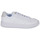 Shoes Women Low top trainers Adidas Sportswear NOVA COURT White / Beige