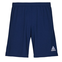 Clothing Men Shorts / Bermudas adidas Performance ENT22 SHO Team / Navy / Blue