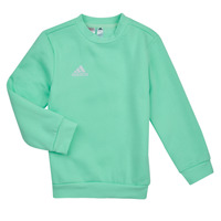 Clothing Children sweaters adidas Performance ENT22 SW TOPY Mint / Clear