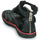 Shoes Women Sandals Airstep / A.S.98 BUSA BUCKLE Black