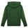 Clothing Children sweaters Vans NEON FLAMES PO Green