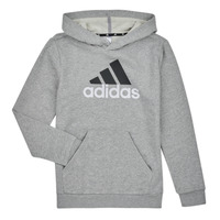 Clothing Boy sweaters Adidas Sportswear BL 2 HOODIE Grey / Medium