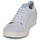 Shoes Men Low top trainers Saola CANNON KNIT II White
