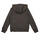 Clothing Boy sweaters The North Face Boys Drew Peak P/O Hoodie Grey