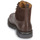 Shoes Women Mid boots Pellet VICTOIRE Veal / Pull / Cup / Brown