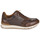 Shoes Men Low top trainers Pellet MIKE Mix / Chocolate