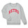 Clothing Girl sweaters Only KOGANNI L/S O-NECK CS SWT Grey