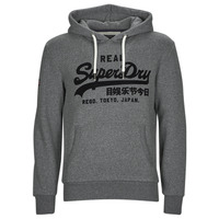 Clothing Men sweaters Superdry TONAL VL HOODIE Grey