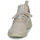 Shoes Men Low top trainers Adidas Sportswear KAPTIR 3.0 Beige
