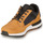 Shoes Men Low top trainers Timberland KILLINGTON TREKKER F/L LOW Beige