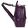 Bags Women Rucksacks David Jones 7019-3-PURPLE Violet