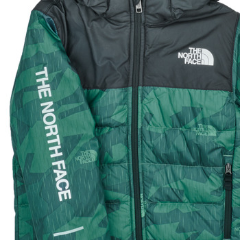 The North Face Boys Never Stop Synthetic Jacket Green