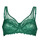 Underwear Women Underwire bras DIM GENEROUS ESSENTIEL Green