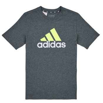 Clothing Boy short-sleeved t-shirts Adidas Sportswear BL 2 TEE Grey / White / Green