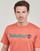 Clothing Men short-sleeved t-shirts Timberland Linear Logo Short Sleeve Tee Brown