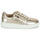 Shoes Women Low top trainers Caprice 23301 Gold